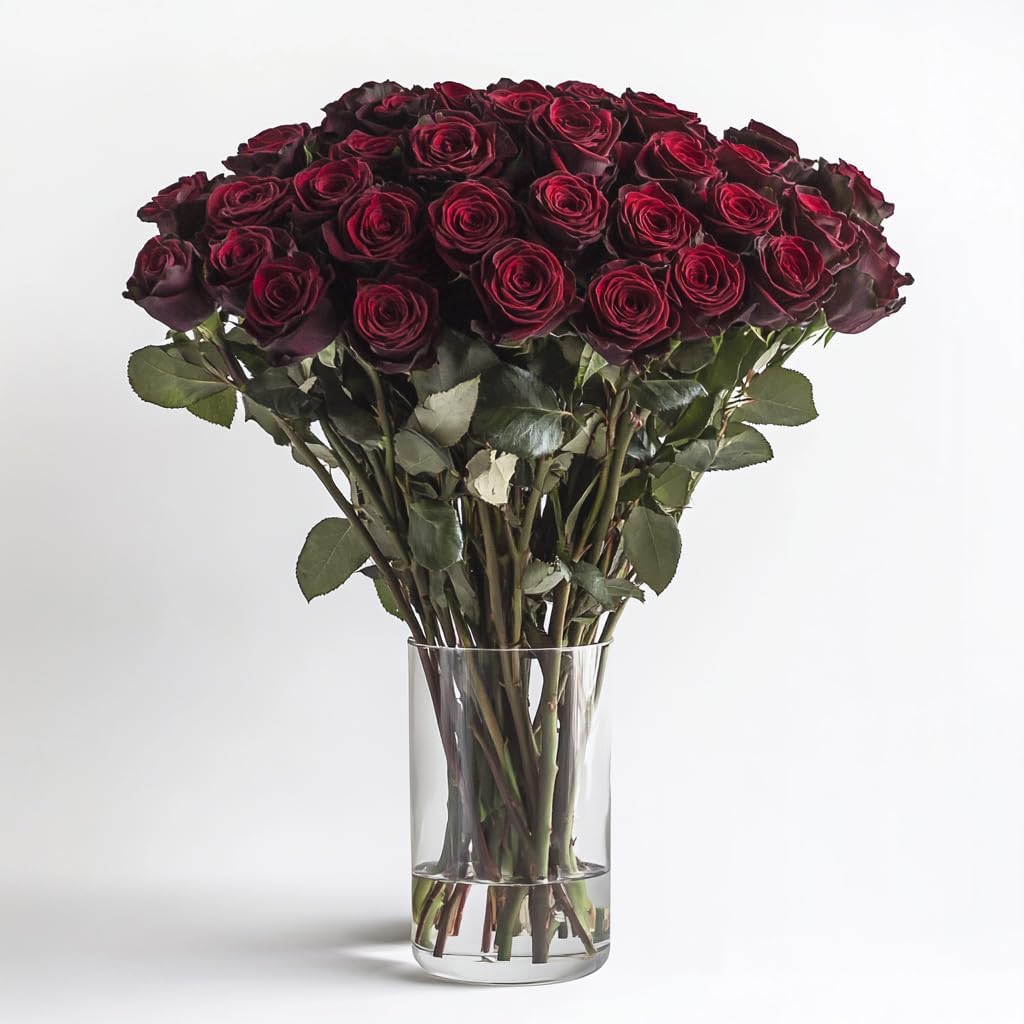 Luxury Long-Lasting Burgundy Roses