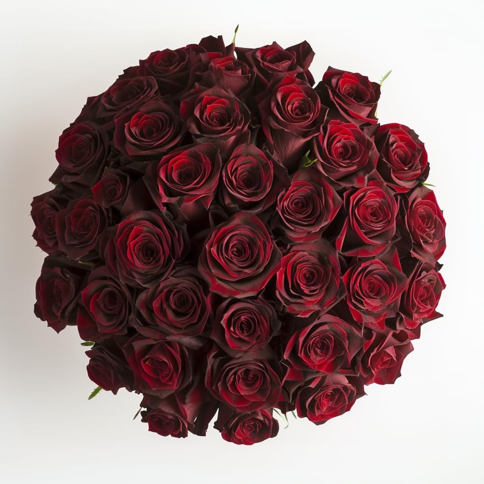 Luxury Long-Lasting Burgundy Roses