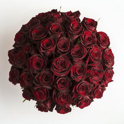 Luxury Long-Lasting Burgundy Roses