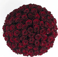 Luxury Long-Lasting Burgundy Roses