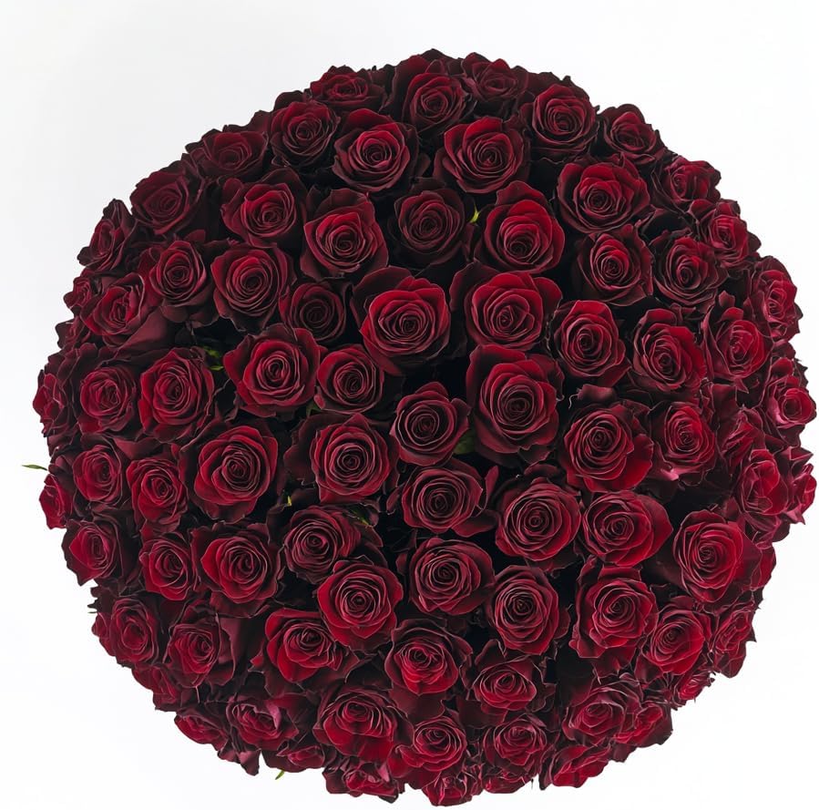 Luxury Long-Lasting Burgundy Roses