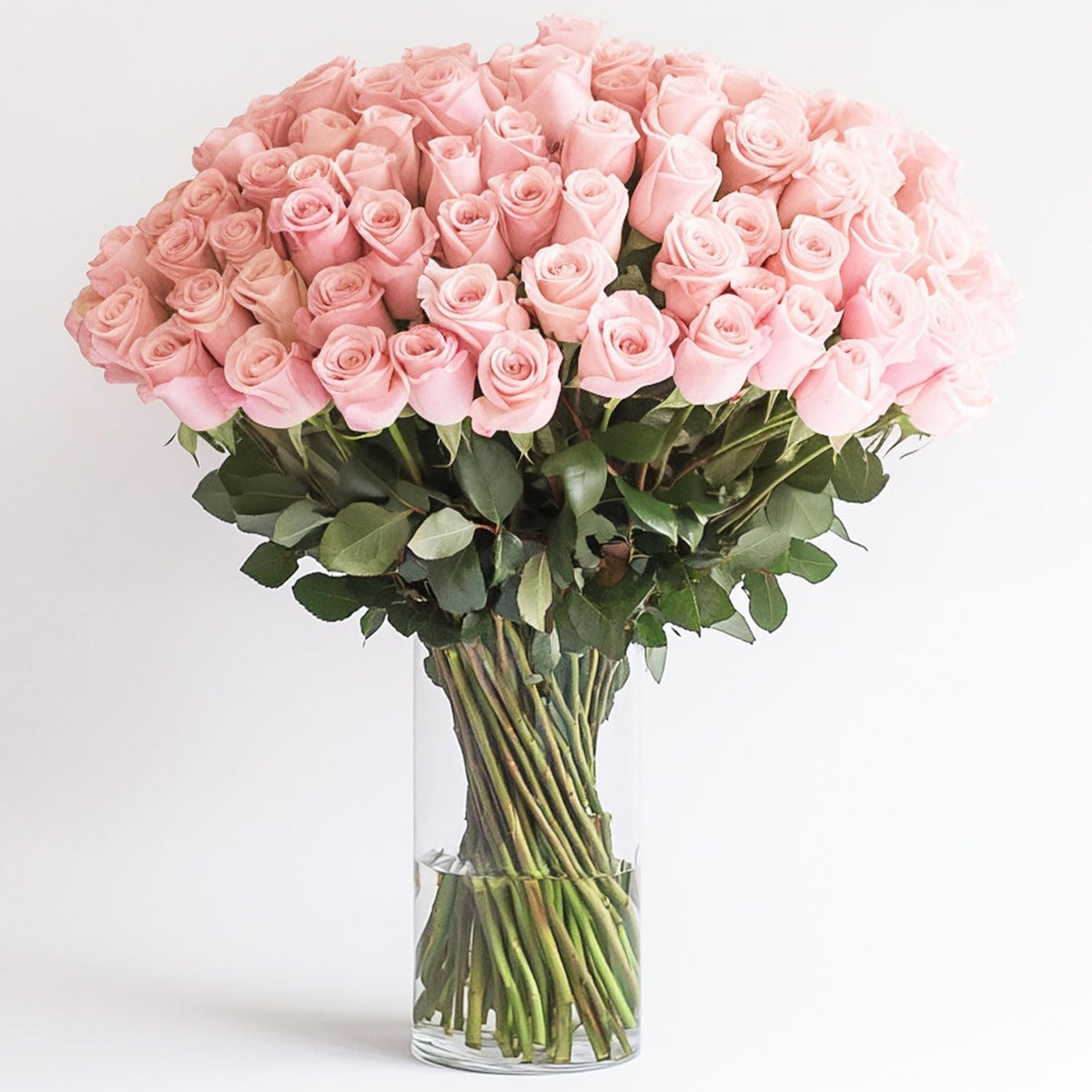 Premium Long-Lasting Pink Rose Bulk
