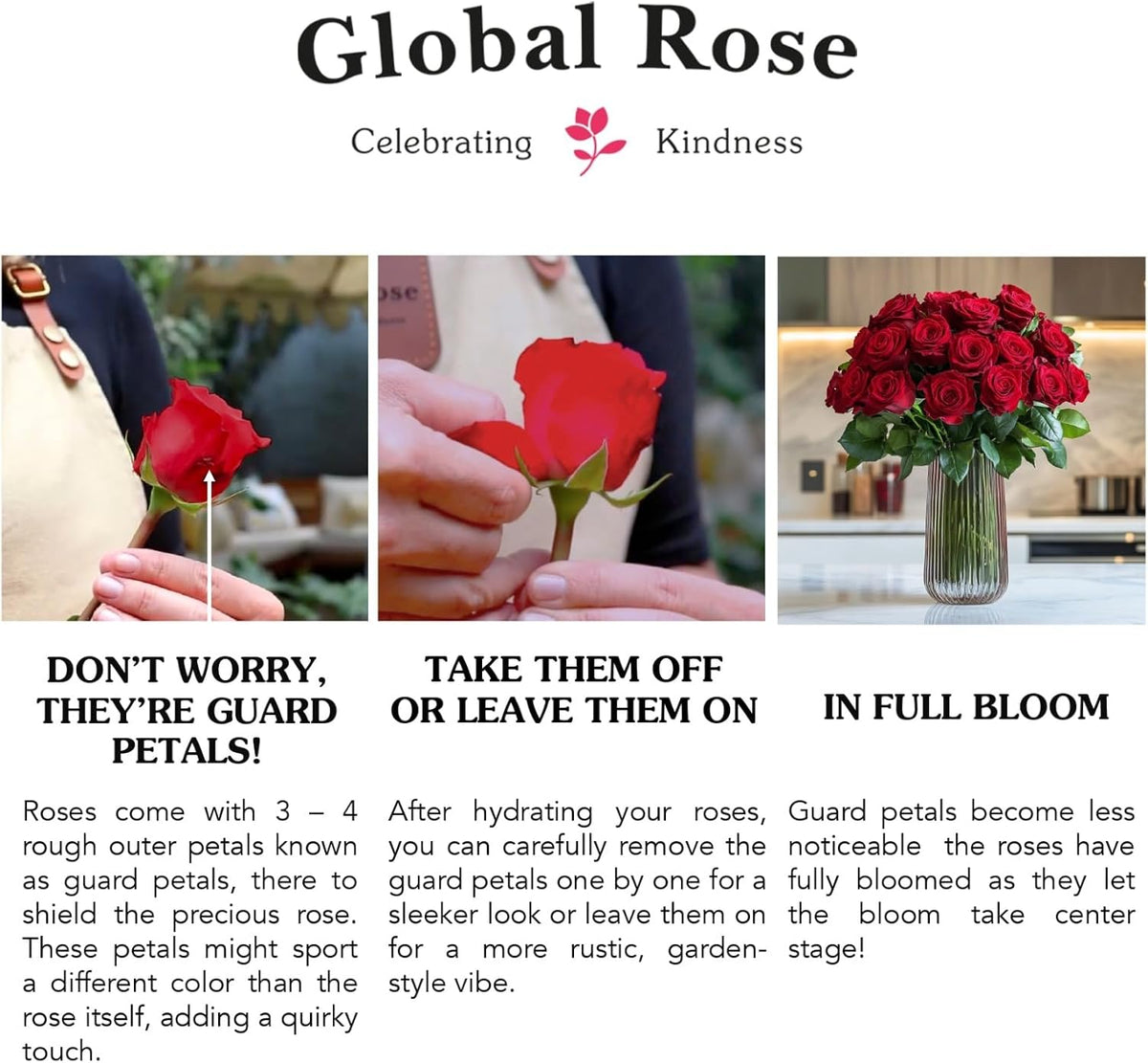 Premium Long-Lasting Pink Rose Bulk