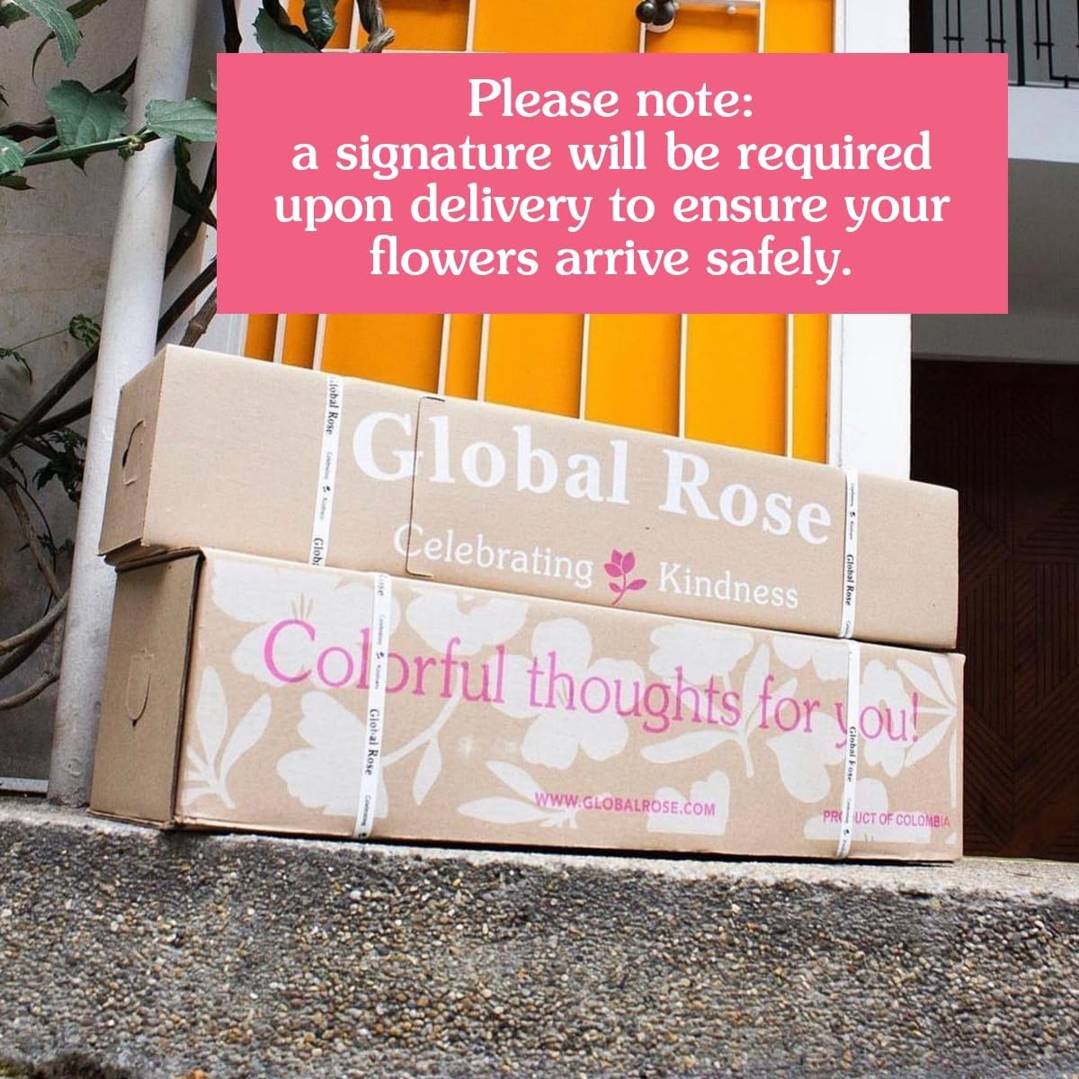 Luxury Long-Lasting Burgundy Roses